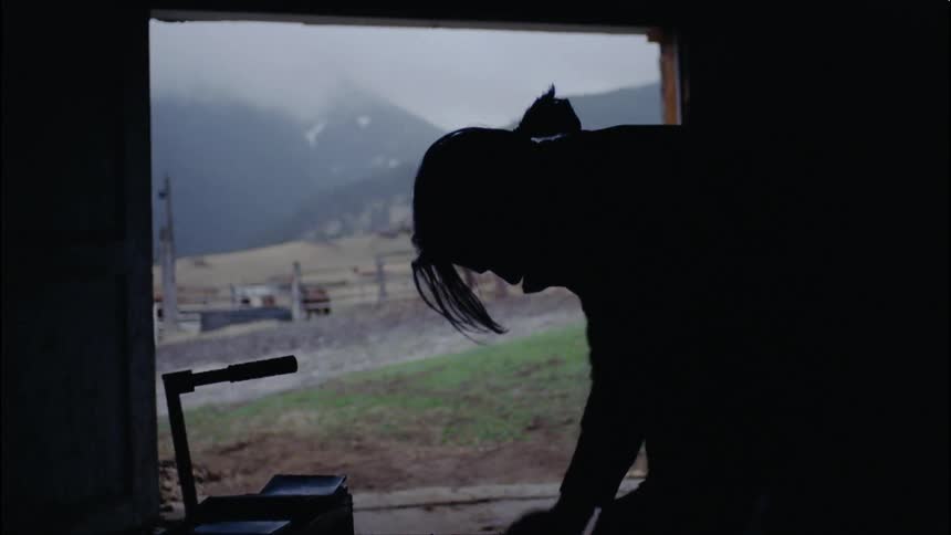 A man is working on a horse's hoof inside a barn on an overcast day