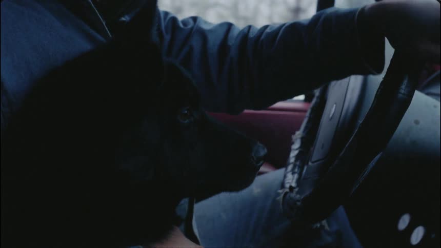 A dog sits on a man's lap while he drives a truck