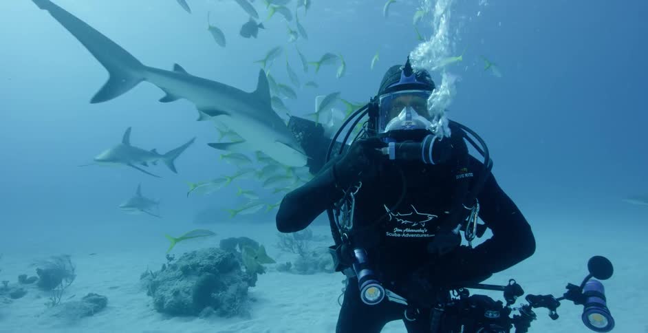 Diver swimming as sharks swim all around him and other fish