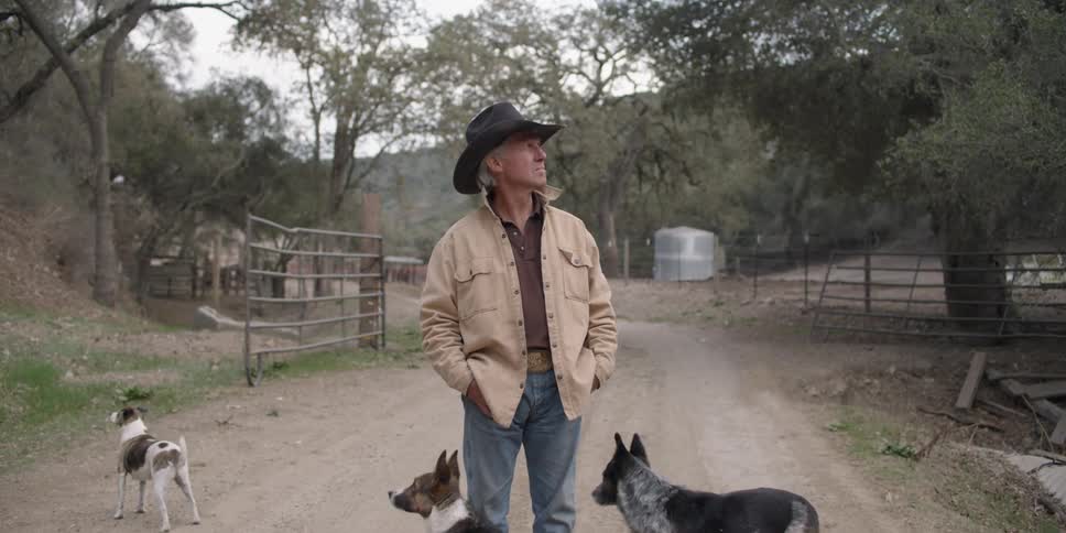 A man in a cowboy hat stands near his dogs