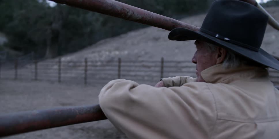 A cowboy looks at cattle on a ranch