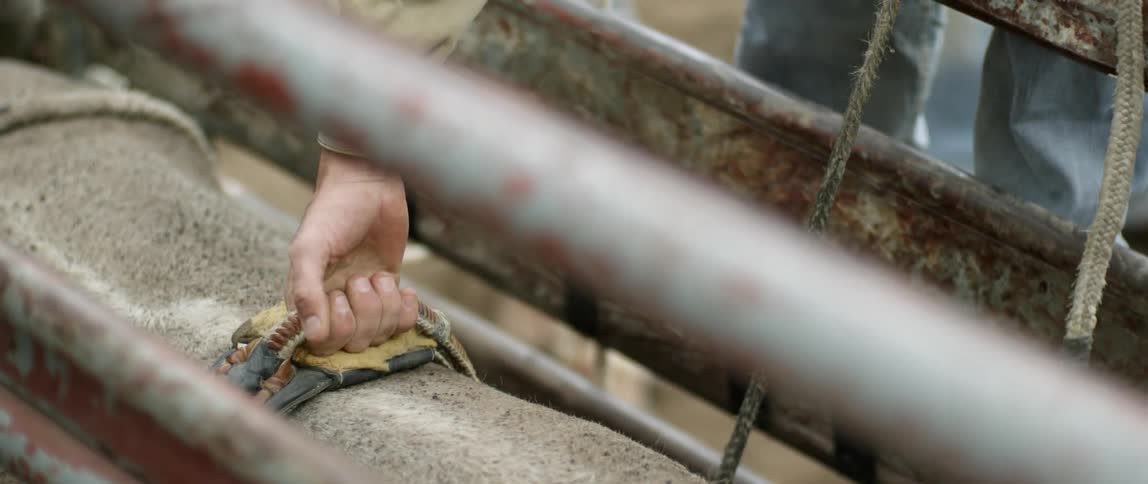 A bull rider prepares to ride a bull