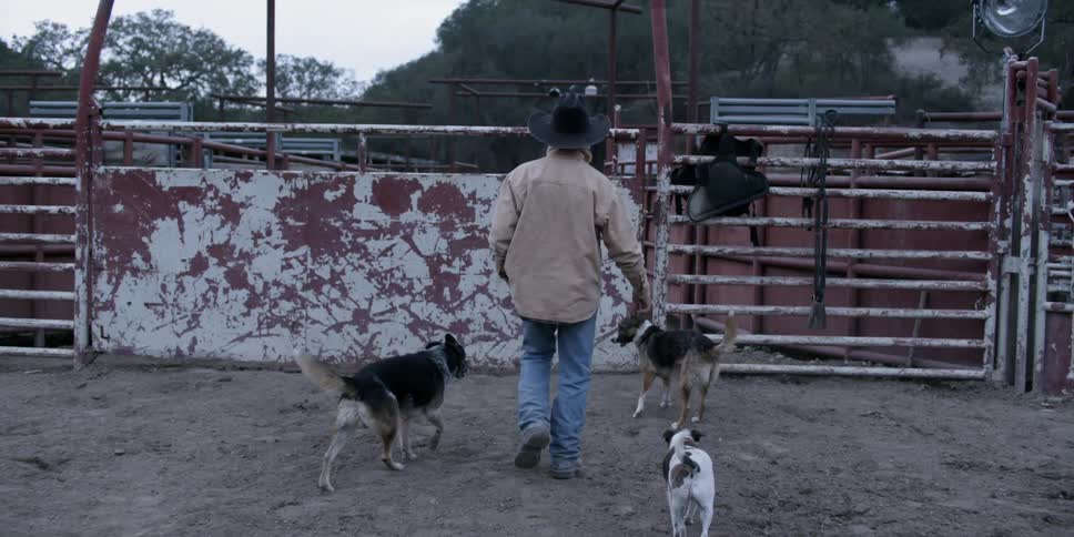 A man leads dogs around in the dirt