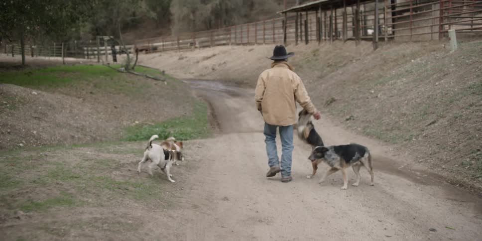 Cowboy walking down a dirt road with several dogs happy to be walking with him