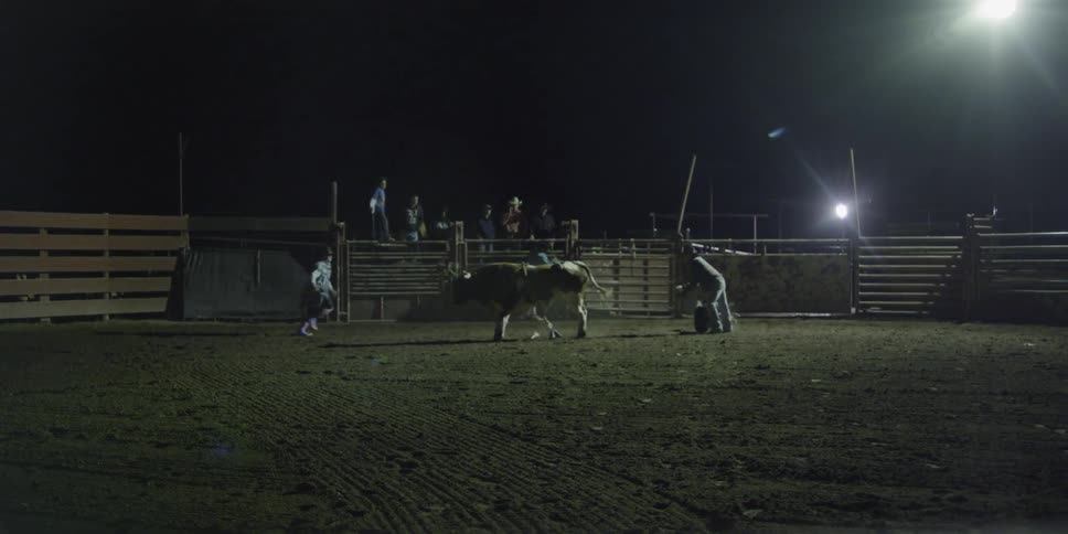 A cowboy rides a bull and falls off