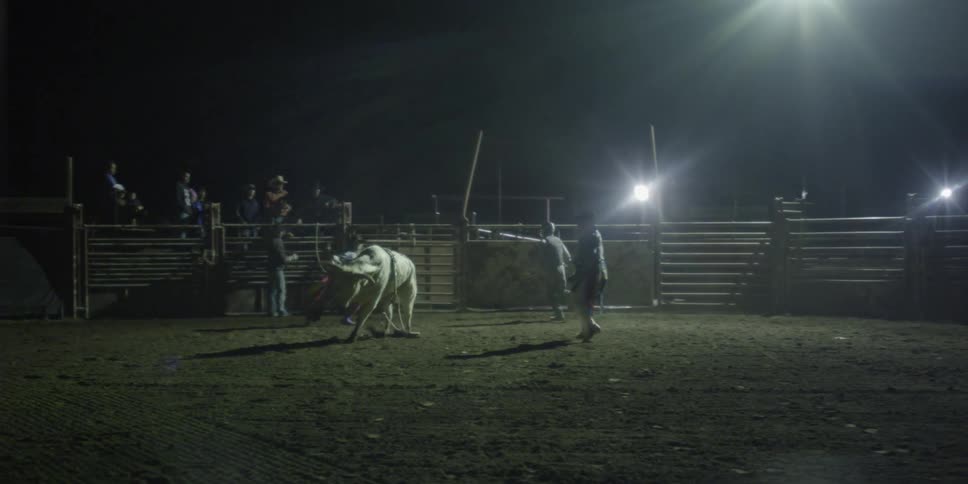 A cowboy rides a bull on a ranch