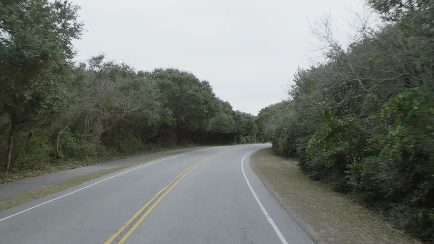 Moving down a curve on a road lined with trees