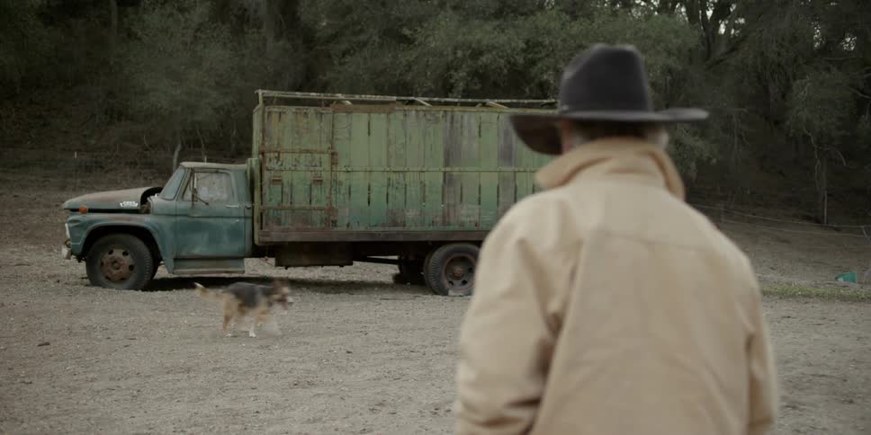 A man walks dogs on dirt farmland