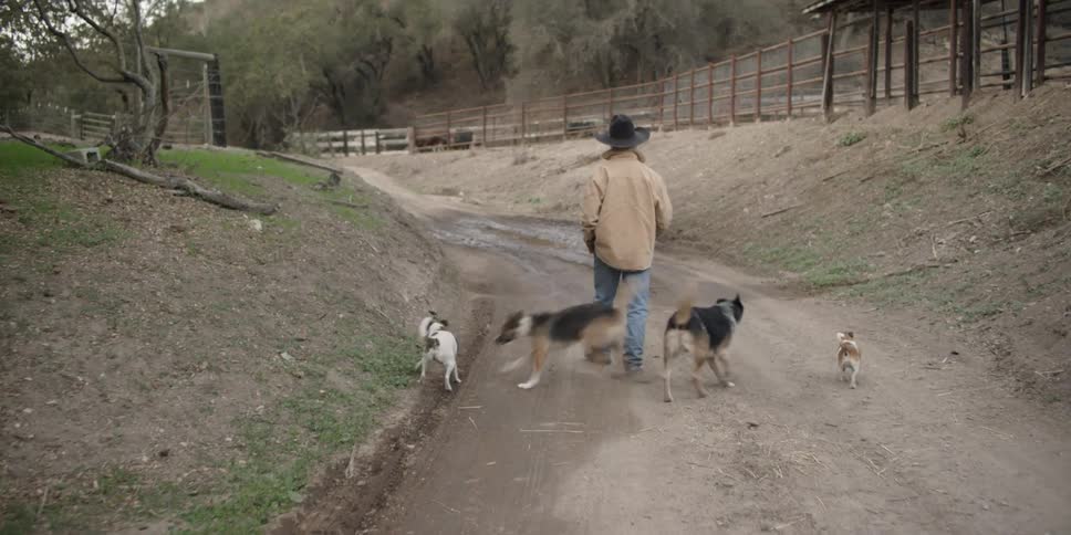 A man is walking up the trail with all of his dogs