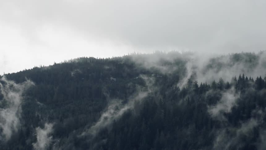 Fog rolls over tree covered hill