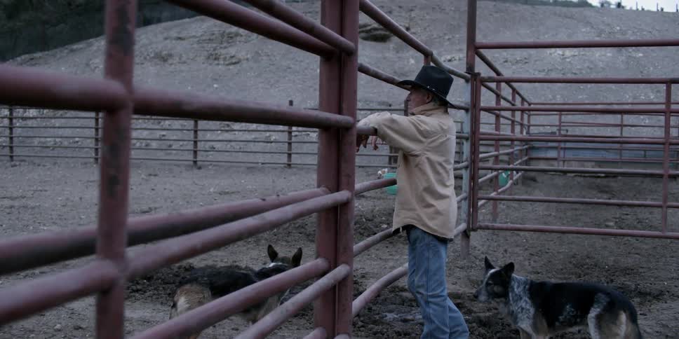 A cowboy leans against a fence with his dogs by his side