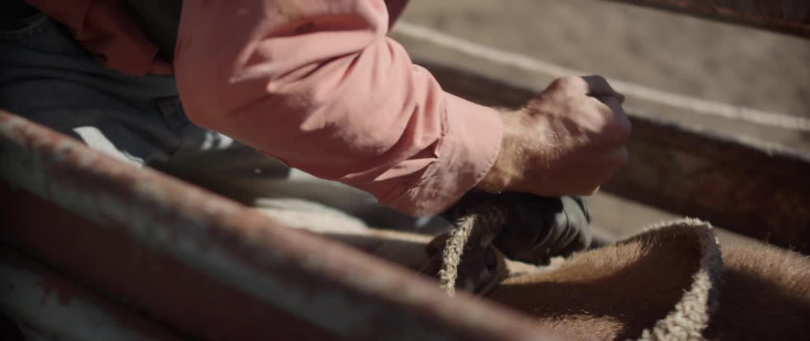 A man tightens the rope around his hand on a bull