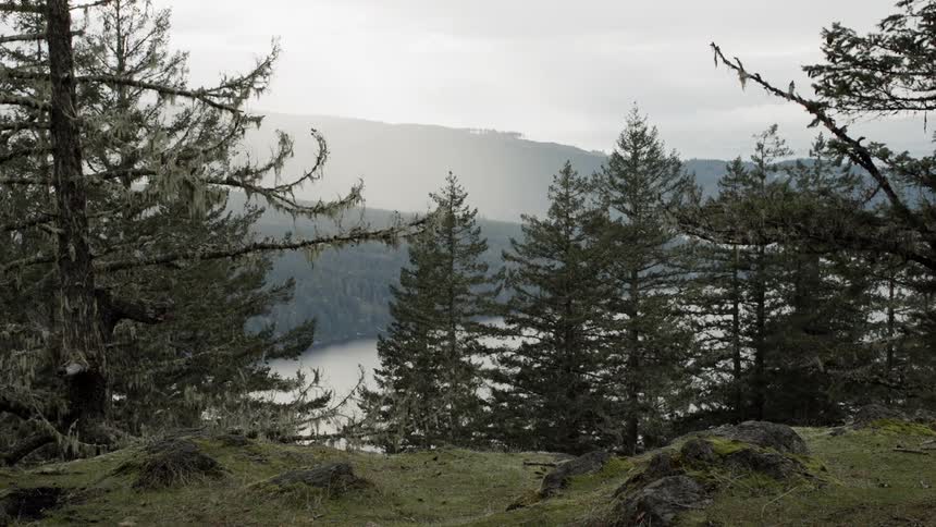 The hills above the lake is covered with trees