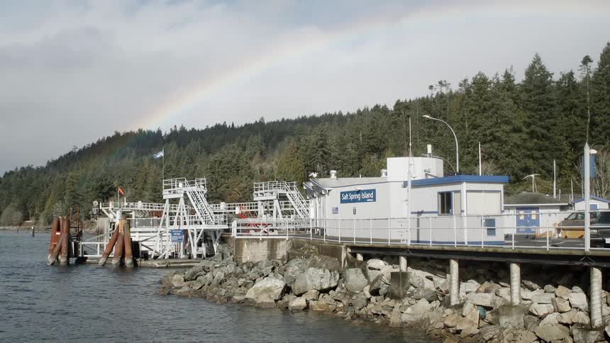 Birds fly low over a small harbor with a rainbow in the sky