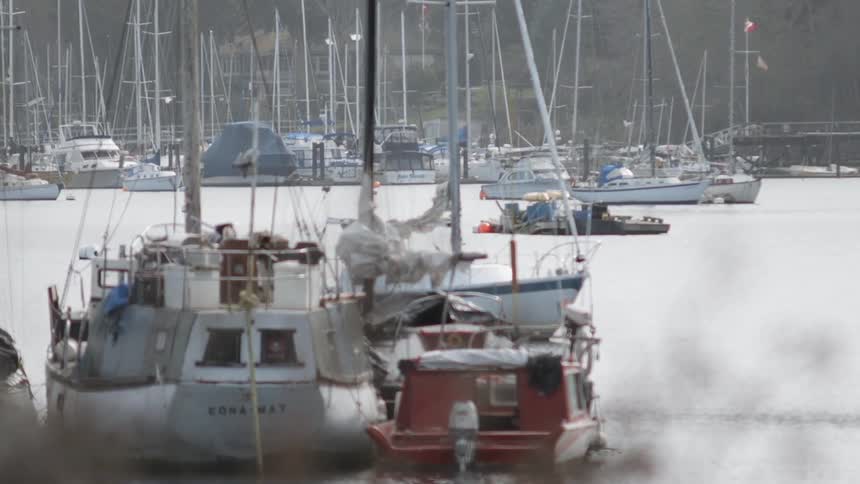There are many boats docked in the pier