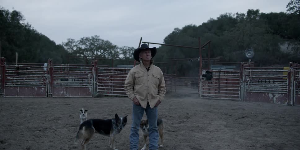 A man stands on the farm with his dogs around him