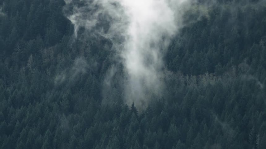 Smoke rises over tree covered hills