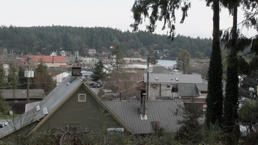 Birds fly above a town