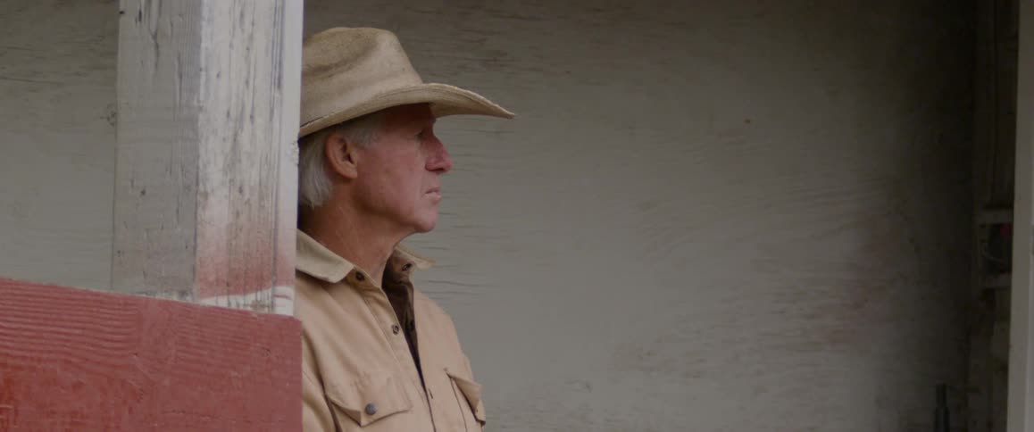 Elderly man wearing a cowboy hat looks on