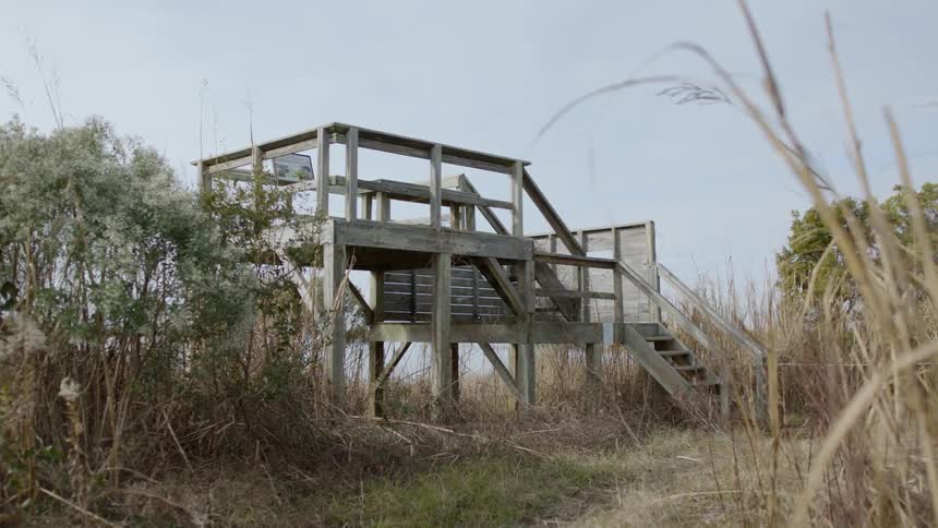 Stairs lead up to a deck on a hilltop