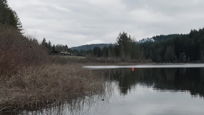 The water in this lake is calm near the wilderness