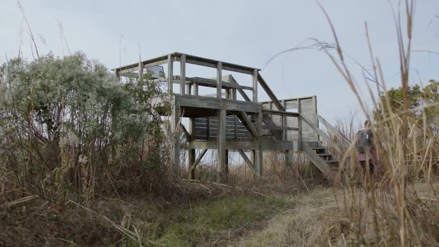 A man walks towards wooden stairs in a grassy area