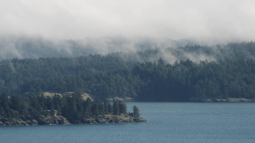 Fog rolls over tree covered hill near a lake