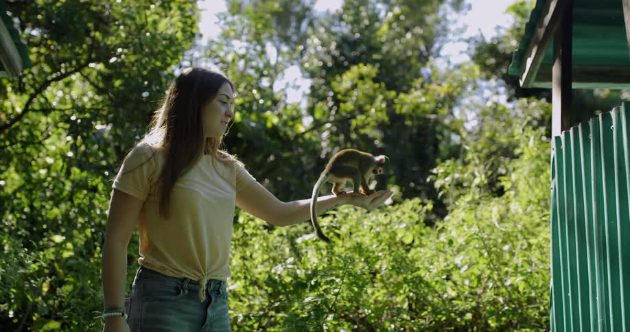 A monkey jumps onto a woman's outstretched hand