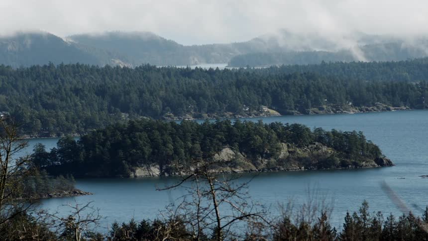 A small island with trees is in the middle of the lake