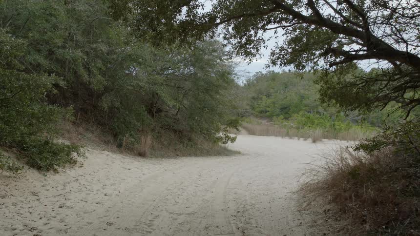 The trail leading to the water is full of sand