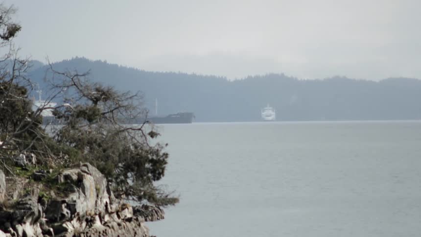 Shrubbery and bare trees hang over the side of a stone cliff