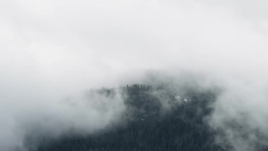 Fog rolls over tree covered hill