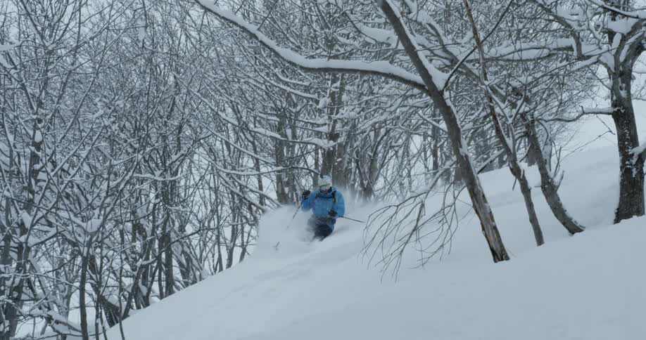 A man is skiing in a forest of trees on a mountainside on a snowy day