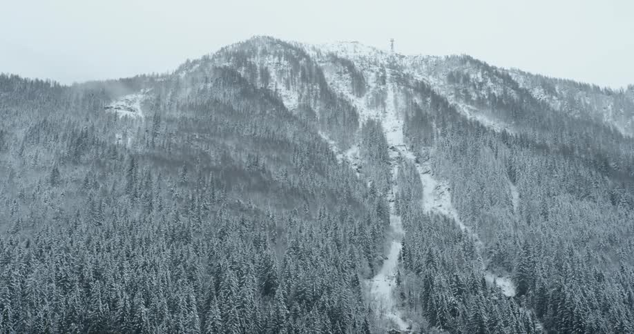 The wind blows the snow down the forest covered mountain