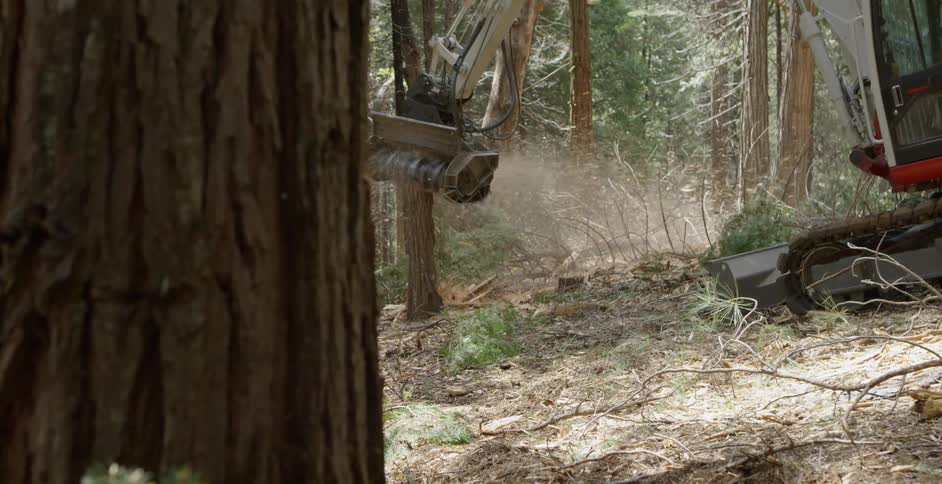 A grinder on an excavator grinds down a tree stump