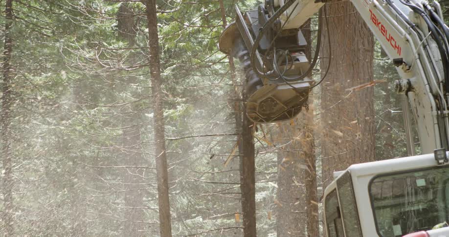 A whole tree chipper is grinding away a tree in a forest during the day