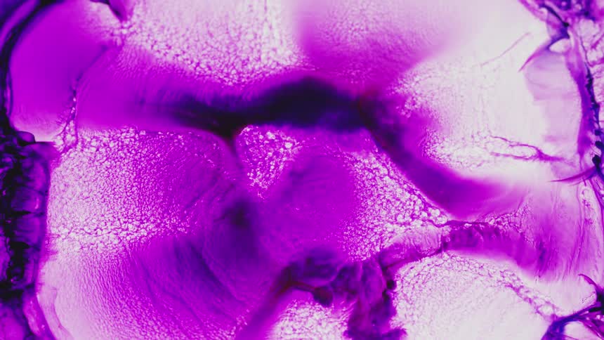 purple dye creates a chemical reaction and drifts around
