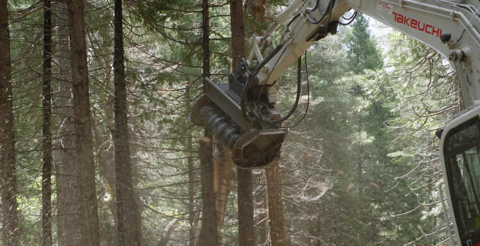 A whole tree chipper is grinding away a tree in a forest during the day