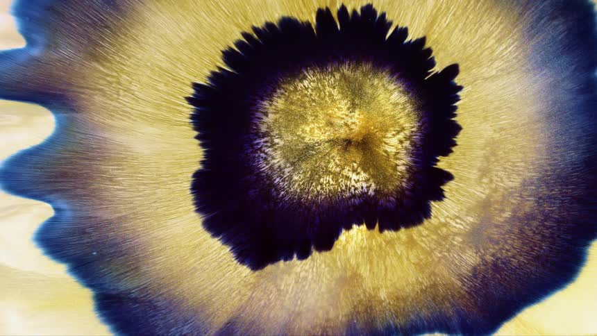 Patterns of color blending and spinning together