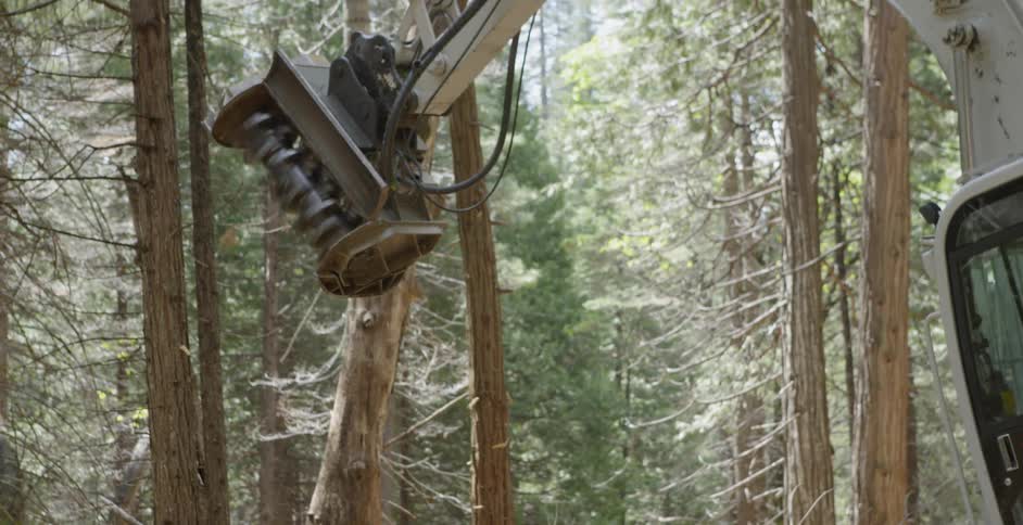 Machine raises to grind a tree in the woods