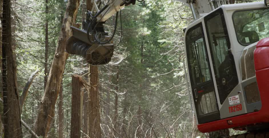 Heavy machinery chipping away at a tree trunk in a forest