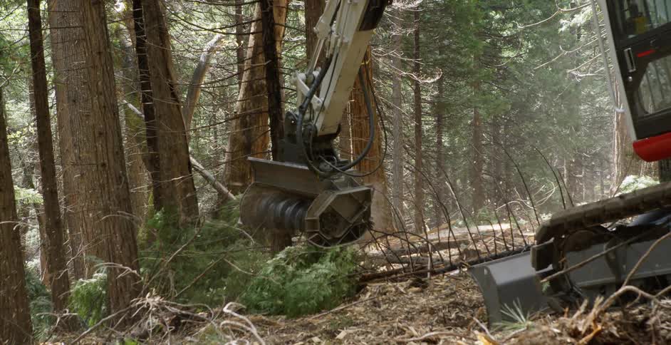 A grinder on an excavator grinds down a tree stump