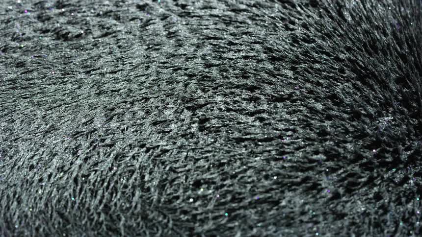 Iron powder moves in a magnetic pattern