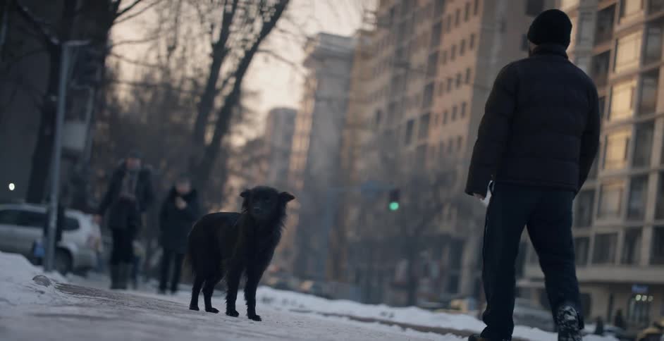 A dog stands on a sidewalk as people walk by