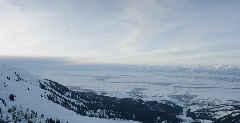 A snow and tree covered mountain slope