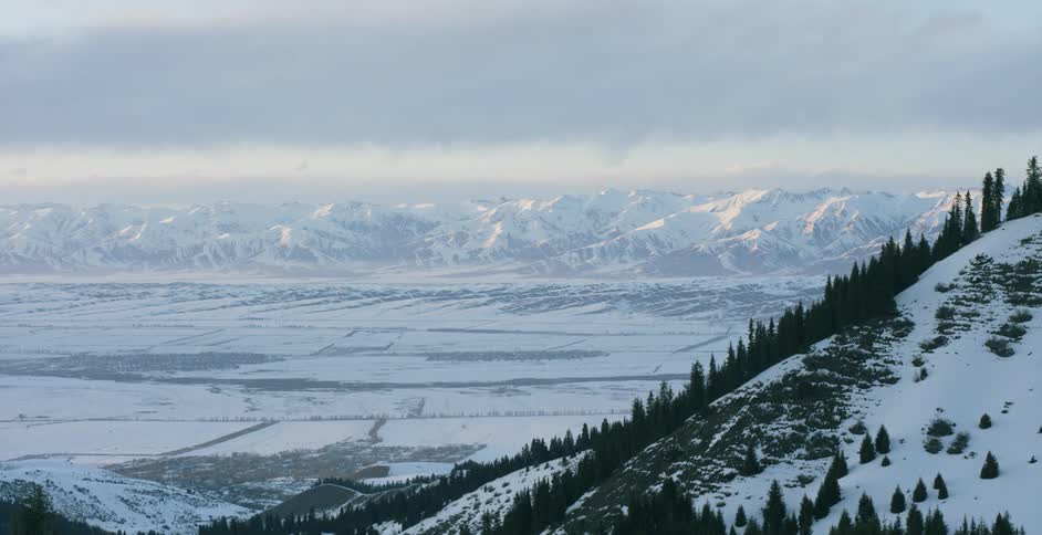 Trees cover the side of a snow covered mountain