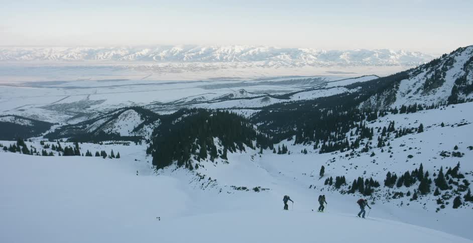 Three skiers with backpacks hike up a hill