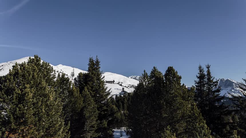 Snow covered mountain top rises over conifer forest