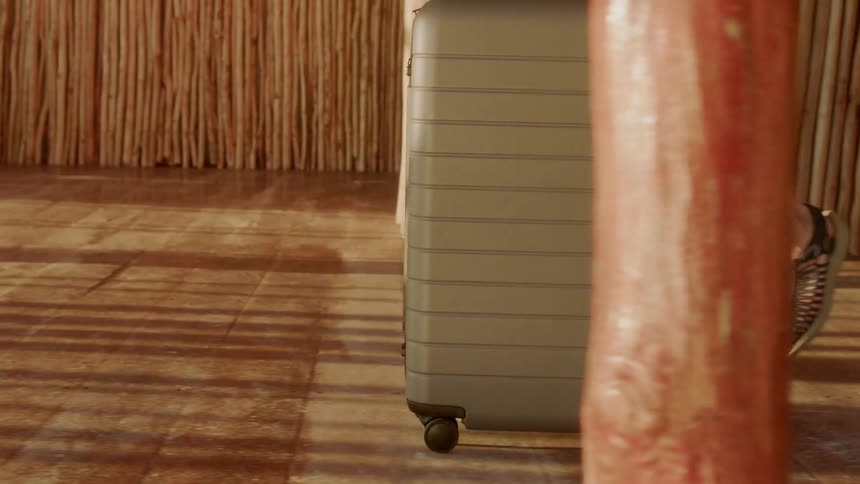 A piece of luggage is pushed by a man