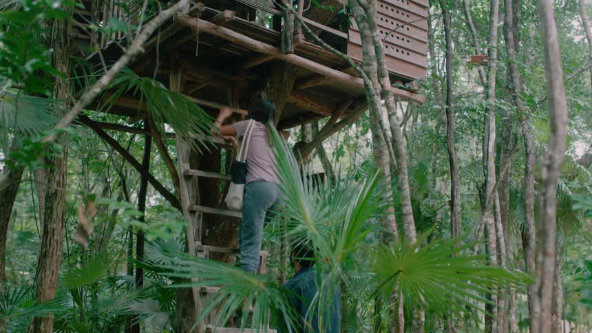 A man and woman climb into a tree house